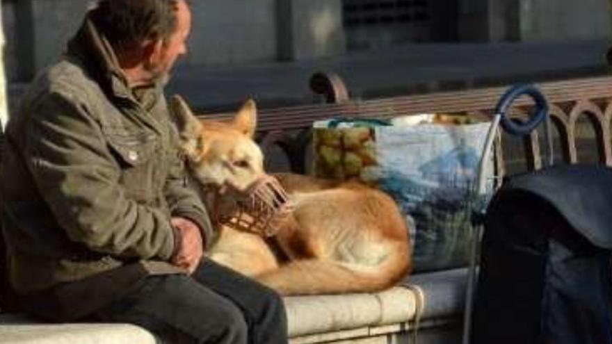 Hombre_con_perros