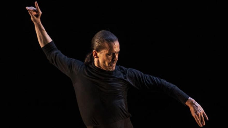 Foto de Flamenco: espacio creativo