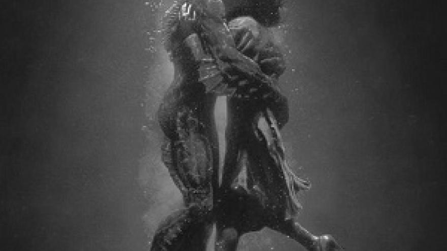imagen del cartel de la película La forma del agua en la que se ve a los protagonistas abrazados sumergidos en agua