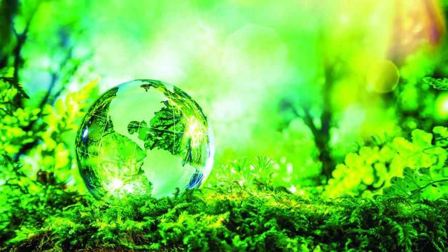 TECNICO MEDIOAMBIENTAL