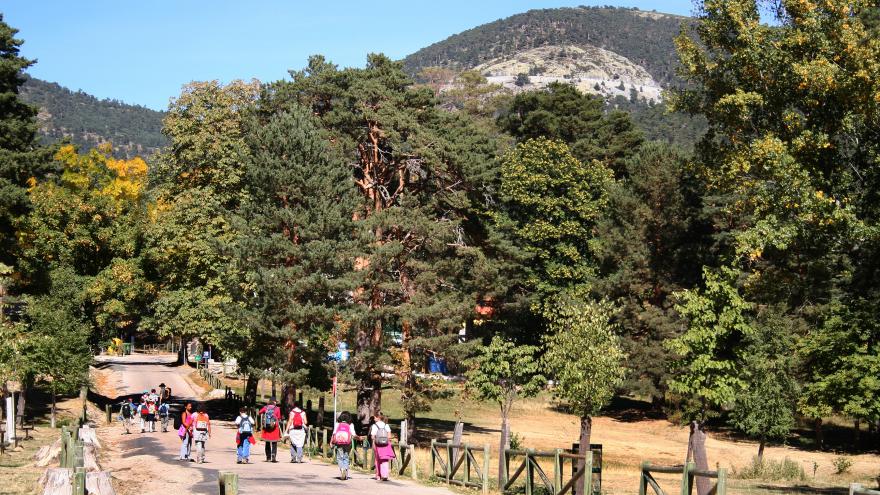 De excursión por Cercedilla