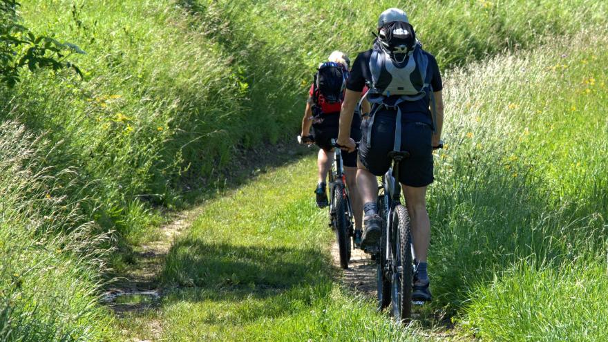 Ciclismo en la naturaleza