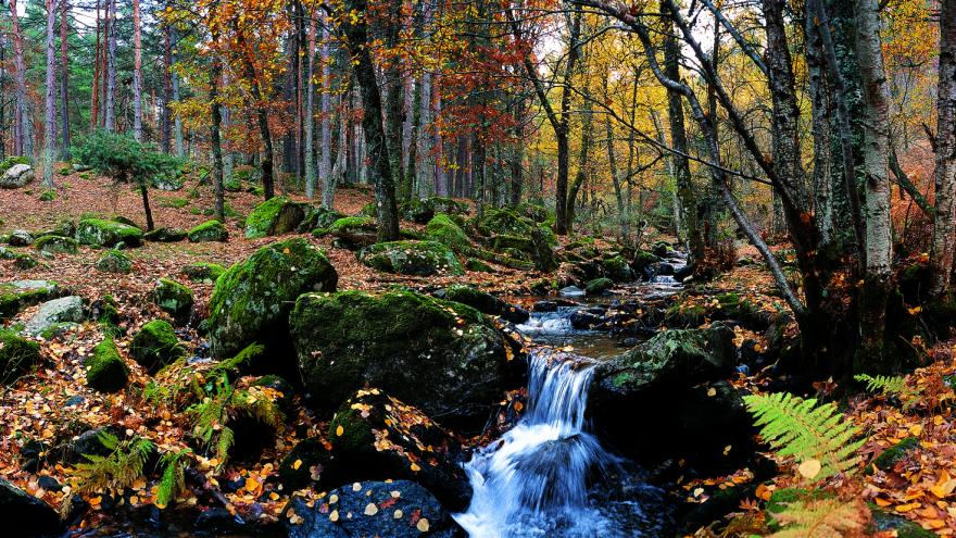 Sierra del Rincón