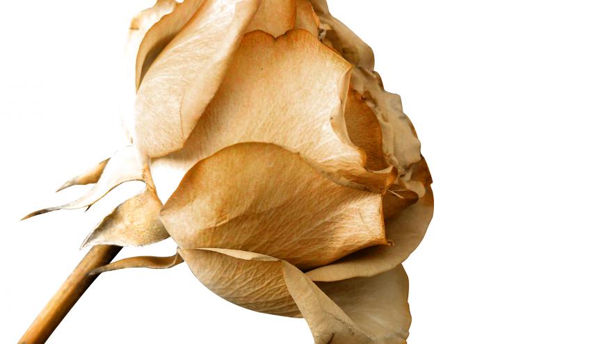 flor