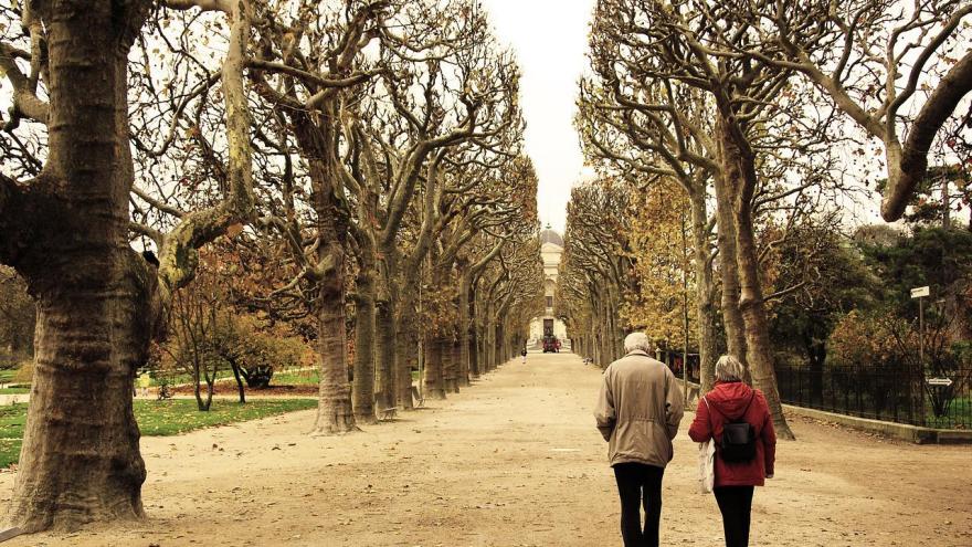 Pareja mayor caminando en el parque