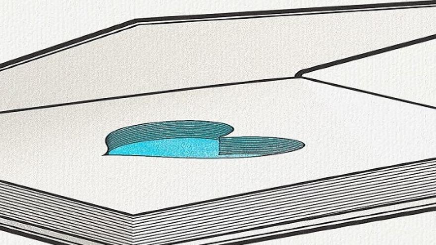 Chapuzón de libros