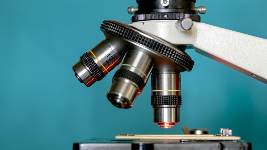 investigación en ganadería