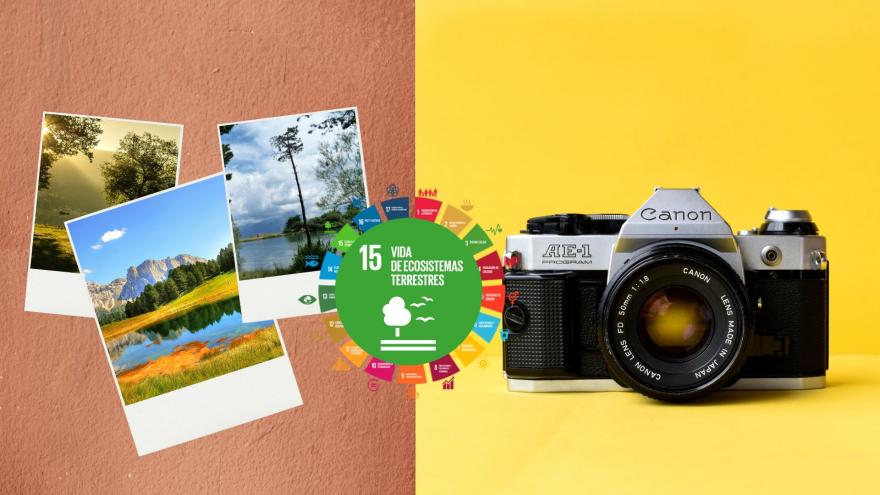 concurso_fotografia_medio