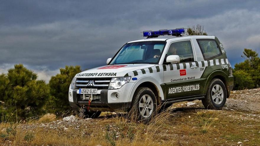 Patrulla en vehículo de agentes forestales