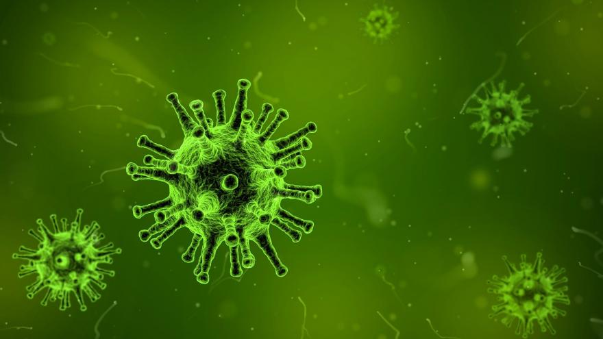 Virus de color verde