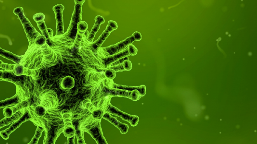 ilustración de un virus en tonos verdes