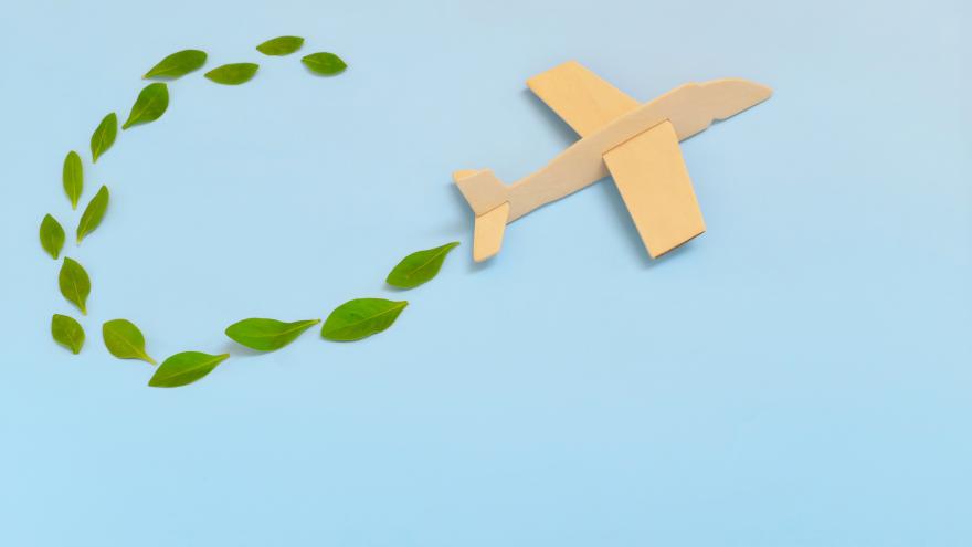 etiqueta europea avion