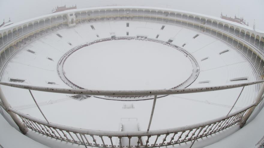 Nevada en Las Ventas