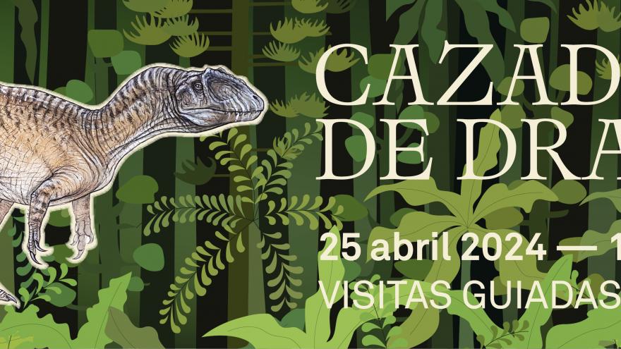 Banner Visitas guiadas a Cazadores de dragones
