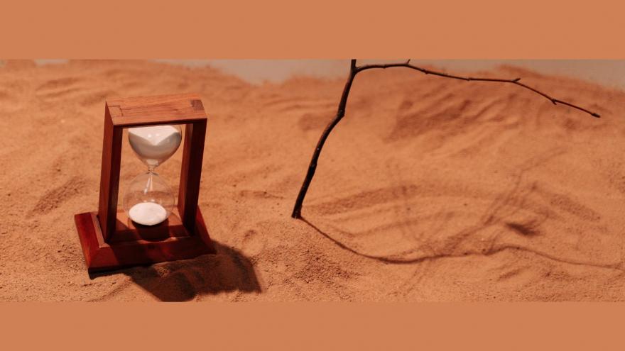 Reloj_de_arena_árbol_seco
