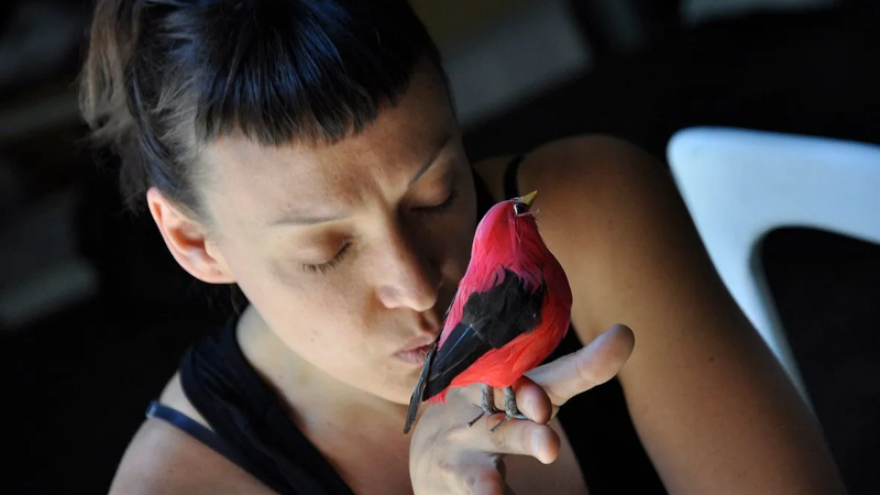 imagen de una mujer con un pájaro rojo 