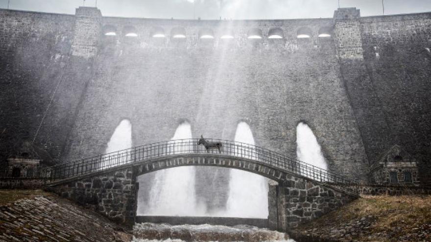 Fotograma de EO, burro atravesando un puente de piedra