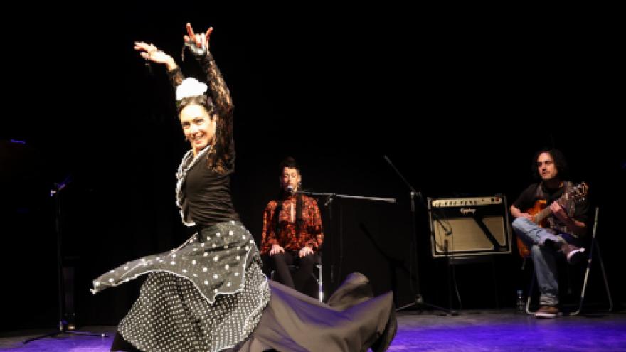 Fotografia de una mujer bailando, tras ella un hombre toca la guitarra y otra mujer las palmas