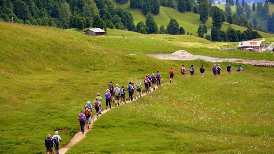 People walking in a row through a green field