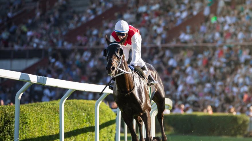 Horse race