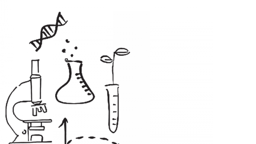 plan stem