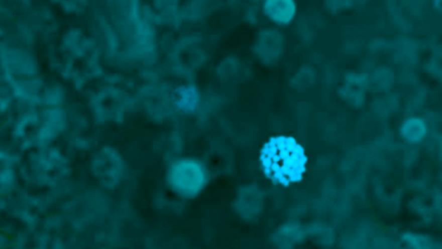 Coronavirus COVID-19 imagen de coronavirus