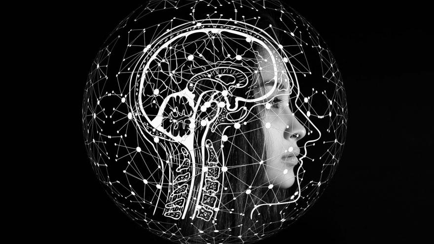 foto cerebro estim