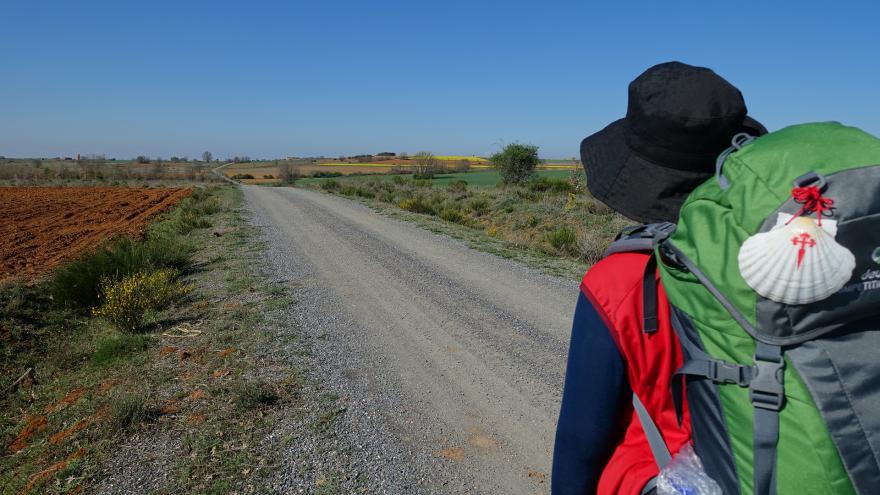 Un peregrino por el Camino de Santiago