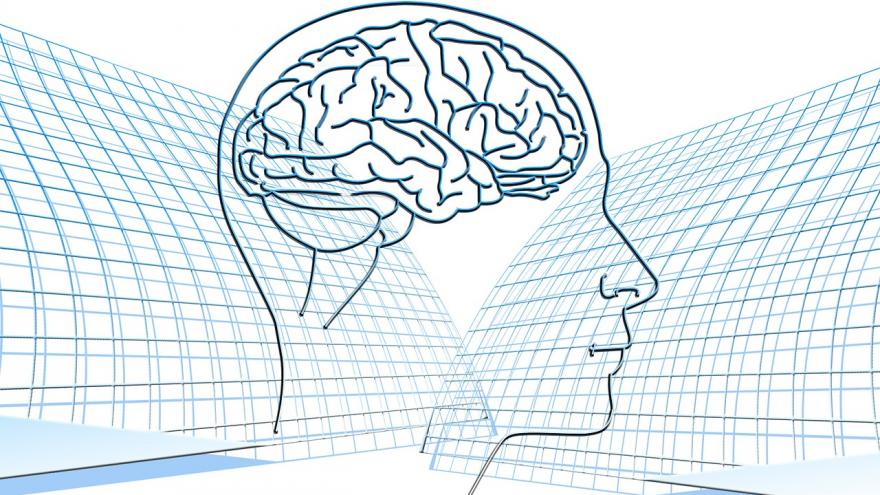 Silueta de un cerebro humano