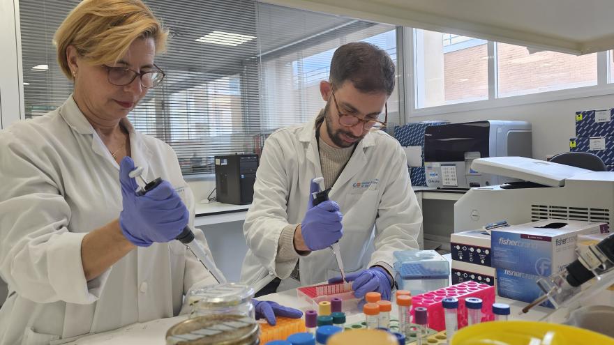 Una mujer y un hombre trabajando en laboratorio