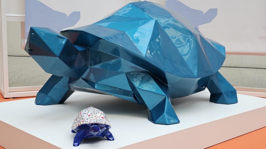 Tortugas azules