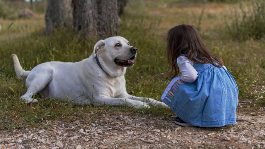 perro y niña