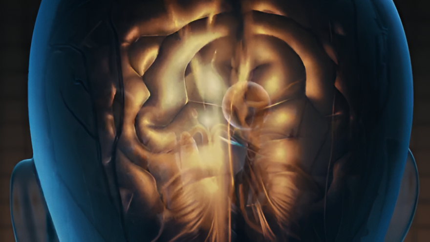 imagen virtual 3D de un cerebro iluminado