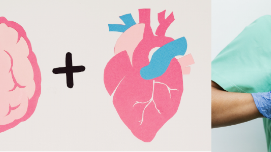 Imagen de revisión, cerebro y corazón