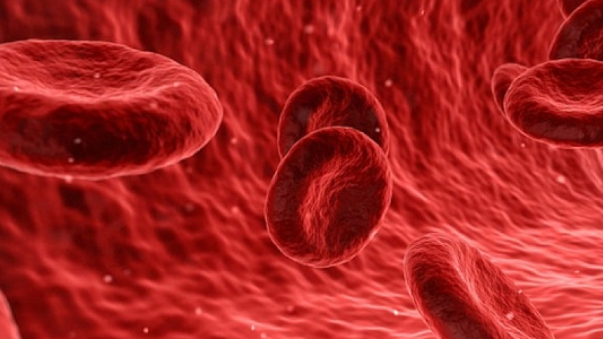 Imagen icónica de celulas en flujo sanguíneo