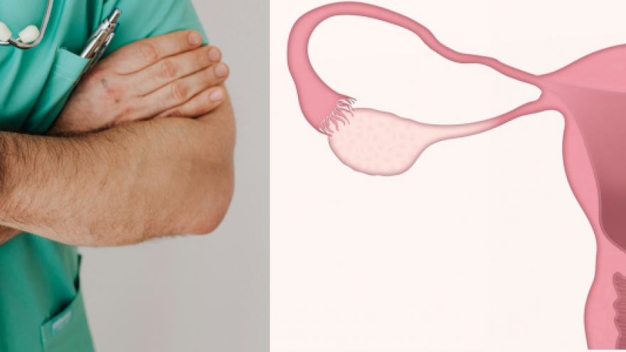 Imagen de personal sanitario e imagen icónica de aparato reproductor femenino
