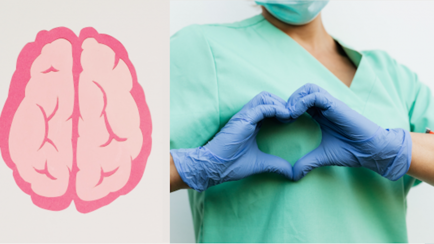 Imagen icónica de un cerebro y un corazon formado con las manos