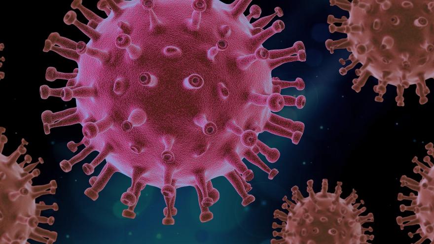 Imagen ampliada del coronavirus