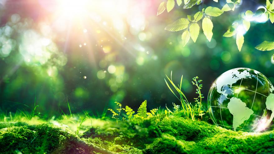 imagen de naturaleza con una bola del mundo de cristal sobre un fondo de hierba
