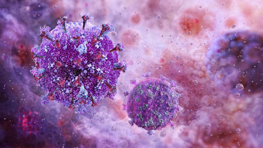 Virus de la inmunodeficiencia humana