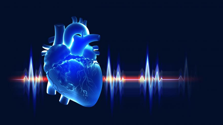 Imagen de cabecera #0 de la página de "IESP - Enfermedades cardiovasculares"