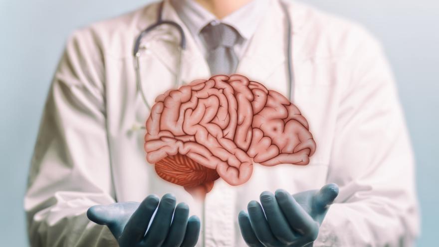 Imagen de cabecera #0 de la página de " Concurso de Méritos Facultativo Especialista en Neurocirugía 2024"