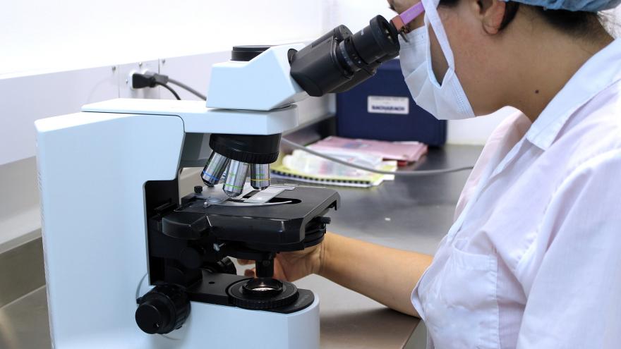 Técnico usando un microscopio