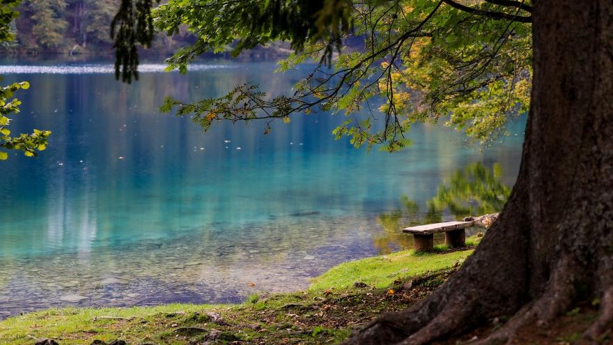 Lago azul desde la orilla con árboles en primer plano