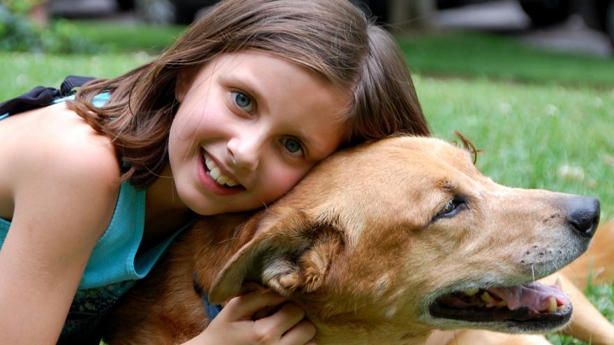 Niña abrazando a un perro en un parque