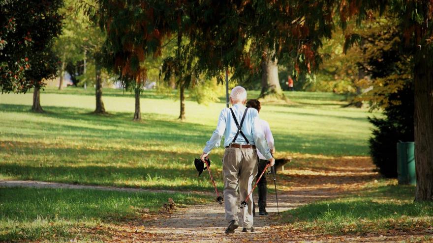 Pareja mayores paseando por el campo