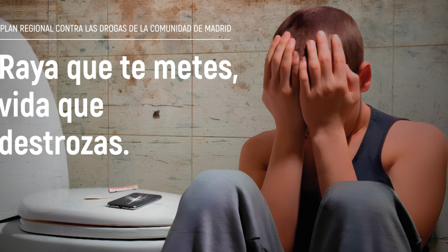 raya que te metes vida que destrozas