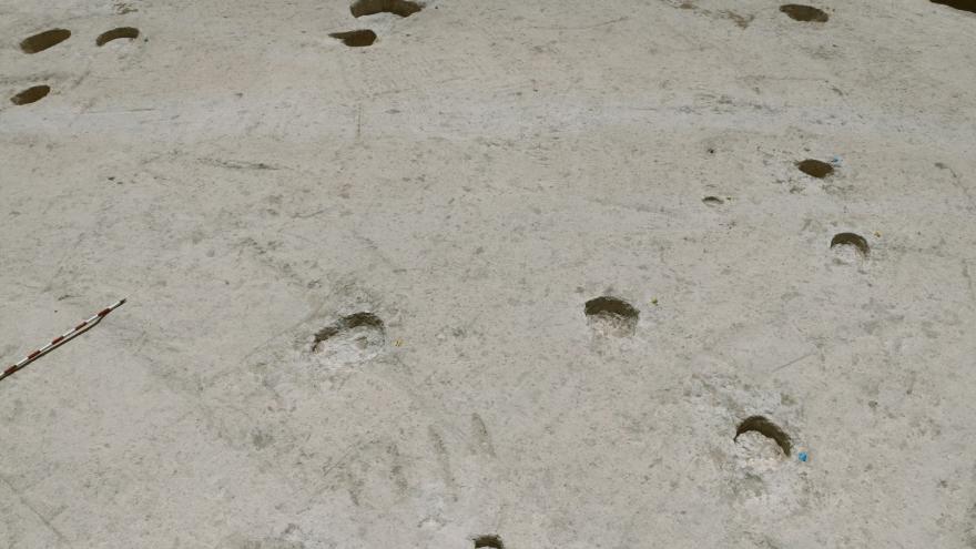 Imagen de un terreno de arena con orificios circulares excavados en el suelo