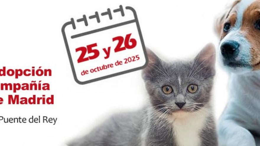 Banner Salon de la adopcion 2025