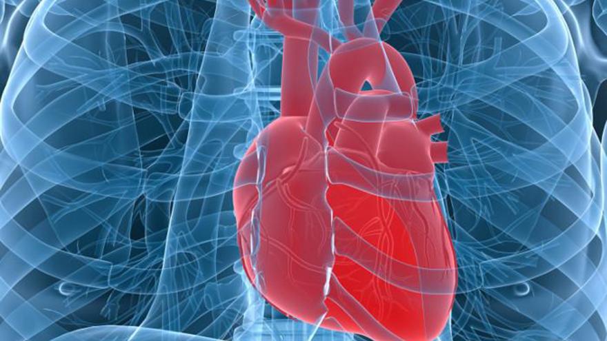 Corazón humano